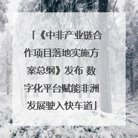 《中非产业链合作项目落地实施方案总纲》发布 数字化平台赋能非洲发展驶入快车道