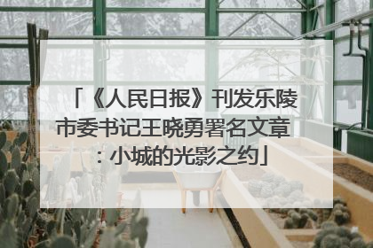 《人民日报》刊发乐陵市委书记王晓勇署名文章：小城的光影之约