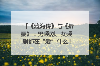《藏海传》与《折腰》：男频剧、女频剧都在“爱”什么