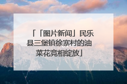 「图片新闻」民乐县三堡镇徐寨村的油菜花竞相绽放