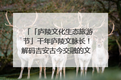 「庐陵文化生态旅游节」千年庐陵文脉长！解码吉安古今交融的文化图谱（图）