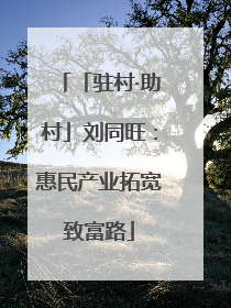 「驻村·助村」刘同旺：惠民产业拓宽致富路