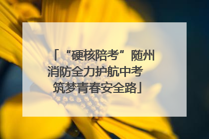 “硬核陪考”随州消防全力护航中考 筑梦青春安全路