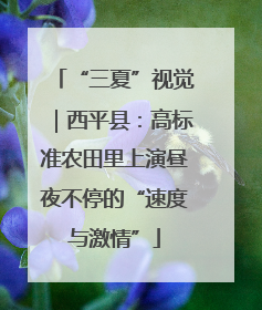 “三夏”视觉｜西平县：高标准农田里上演昼夜不停的“速度与激情”