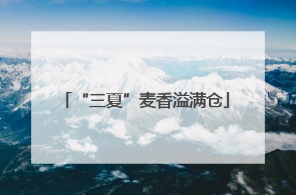 “三夏”麦香溢满仓