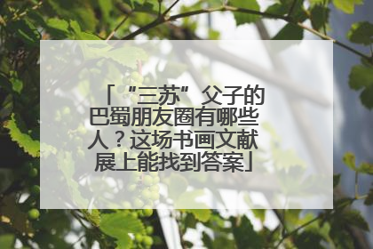 “三苏”父子的巴蜀朋友圈有哪些人？这场书画文献展上能找到答案