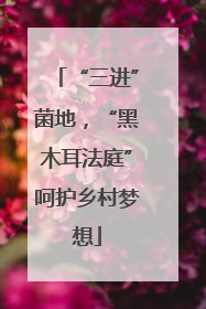 “三进”菌地，“黑木耳法庭”呵护乡村梦想
