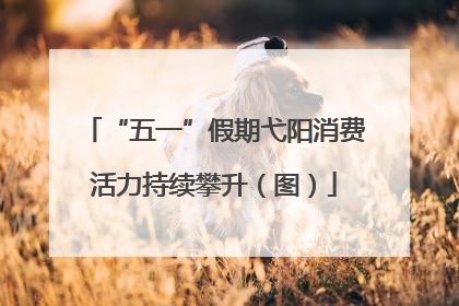 “五一”假期弋阳消费活力持续攀升（图）