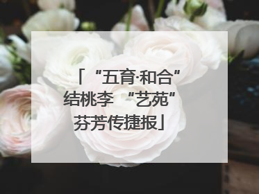 “五育·和合”结桃李 “艺苑”芬芳传捷报