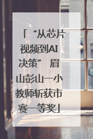 “从芯片视频到AI决策” 眉山彭山一小教师斩获市赛一等奖