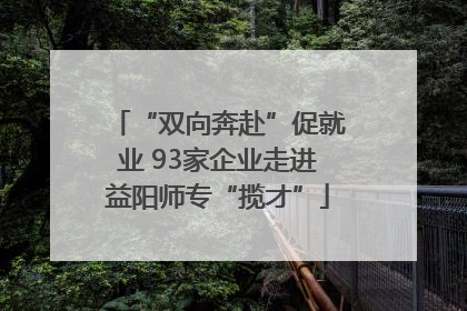 “双向奔赴”促就业 93家企业走进益阳师专“揽才”