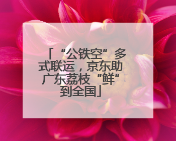 “公铁空”多式联运，京东助广东荔枝“鲜”到全国