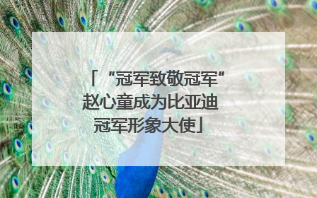 “冠军致敬冠军” 赵心童成为比亚迪冠军形象大使
