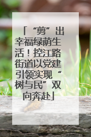 “剪”出幸福绿荫生活！控江路街道以党建引领实现“树与民”双向奔赴