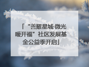 “善耀星城·微光暖开福”社区发展基金公益季开启