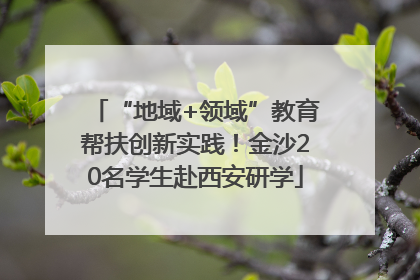 “地域+领域”教育帮扶创新实践！金沙20名学生赴西安研学
