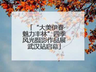 “大美伊春·魅力丰林”四季风光摄影作品展武汉站启幕