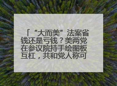 “大而美”法案省钱还是亏钱？美两党在参议院持手绘图板互杠，共和党人称可节省约5000亿美元，民主党人称将增加4.45万亿美元赤字