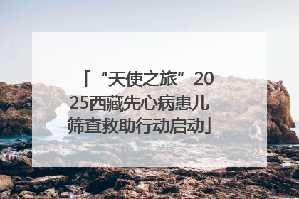 “天使之旅”2025西藏先心病患儿筛查救助行动启动