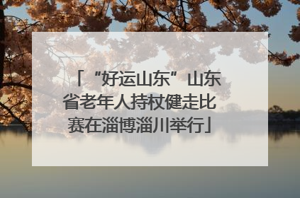 “好运山东”山东省老年人持杖健走比赛在淄博淄川举行