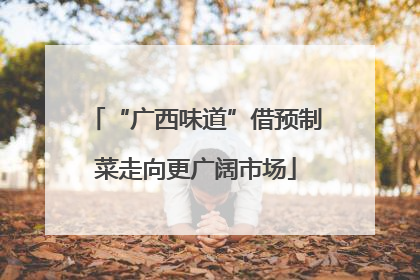 “广西味道”借预制菜走向更广阔市场