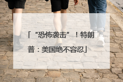 “恐怖袭击”！特朗普：美国绝不容忍
