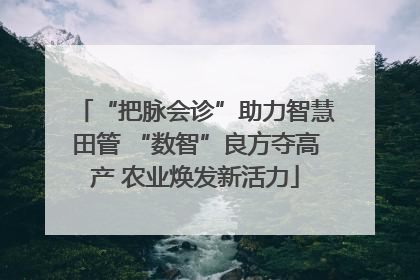 “把脉会诊”助力智慧田管 “数智”良方夺高产 农业焕发新活力