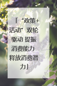 “政策+活动”双轮驱动 提振消费能力 释放消费潜力