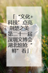 “文化+科技”点亮荆楚之美 第二十一届深圳文博会湖北馆抢“鲜”看