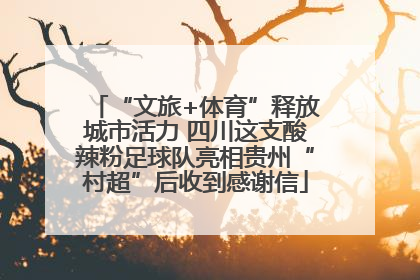 “文旅+体育”释放城市活力 四川这支酸辣粉足球队亮相贵州“村超”后收到感谢信