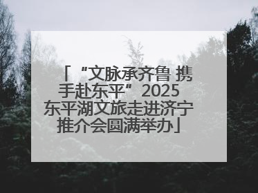 “文脉承齐鲁 携手赴东平”2025东平湖文旅走进济宁推介会圆满举办