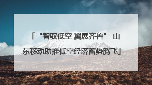 “智驭低空 翼展齐鲁” 山东移动助推低空经济蓄势腾飞