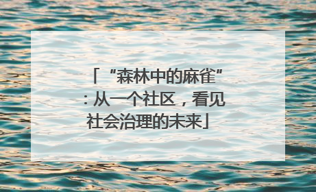 “森林中的麻雀”：从一个社区，看见社会治理的未来