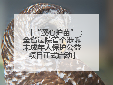 “溪心护苗”：全省法院首个涉诉未成年人保护公益项目正式启动