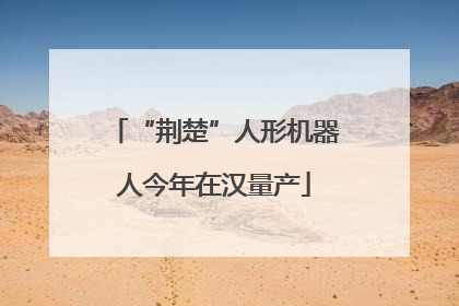 “荆楚”人形机器人今年在汉量产