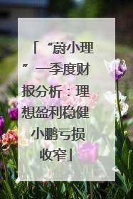 “蔚小理”一季度财报分析：理想盈利稳健 小鹏亏损收窄