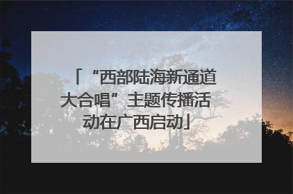 “西部陆海新通道大合唱”主题传播活动在广西启动