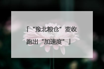 “豫北粮仓”麦收跑出“加速度”