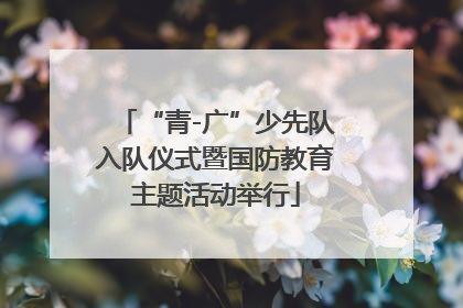 “青-广”少先队入队仪式暨国防教育主题活动举行