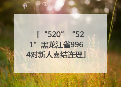 “520”“521”黑龙江省9964对新人喜结连理