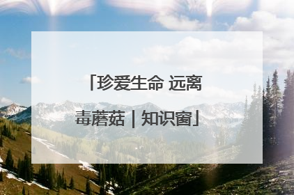 珍爱生命 远离毒蘑菇｜知识窗