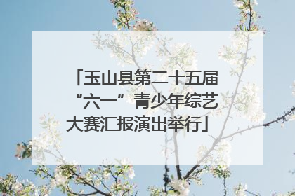 玉山县第二十五届“六一”青少年综艺大赛汇报演出举行