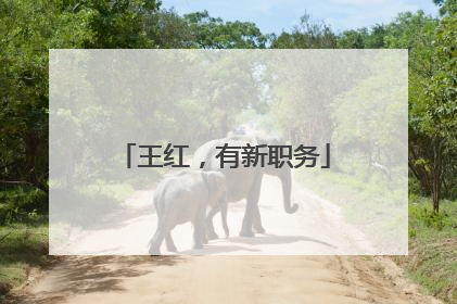 王红，有新职务