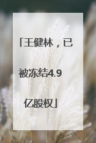 王健林，已被冻结4.9亿股权