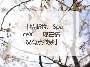 特斯拉、SpaceX……现在情况有点微妙
