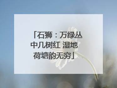 石狮：万绿丛中几树红 湿地荷塘韵无穷