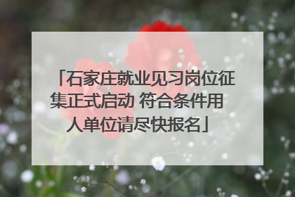 石家庄就业见习岗位征集正式启动 符合条件用人单位请尽快报名