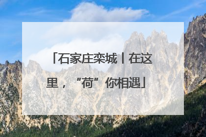 石家庄栾城丨在这里，“荷”你相遇
