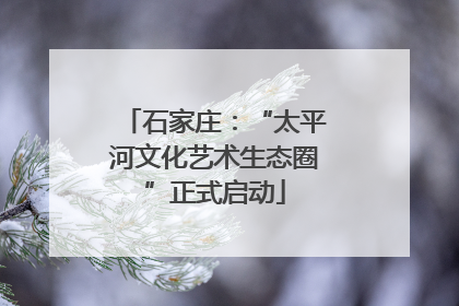 石家庄：“太平河文化艺术生态圈”正式启动