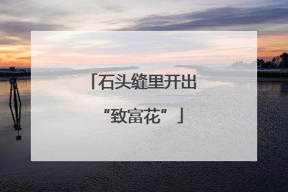 石头缝里开出“致富花”